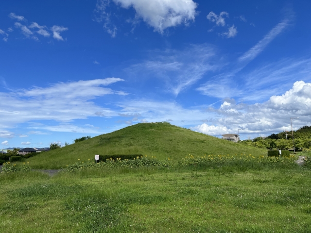 南青山アンティーク通りクリニック院長のブログイメージ