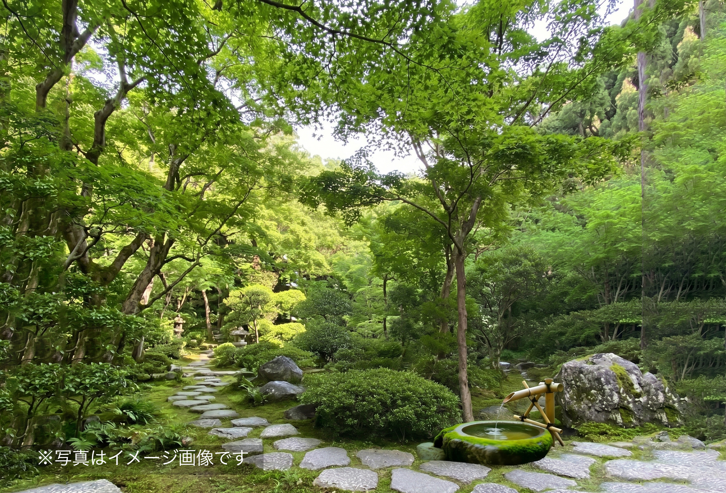 南青山アンティーク通りクリニック院長のブログ庭のイメージ5秒タイマー