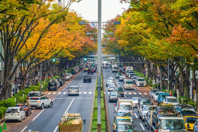 表参道の並木道