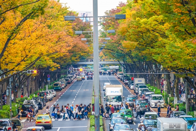 南青山アンティーク通りクリニック院長のブログイメージ