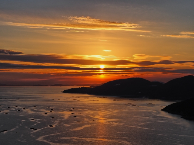 南青山アンティーク通りクリニック院長のブログイメージ