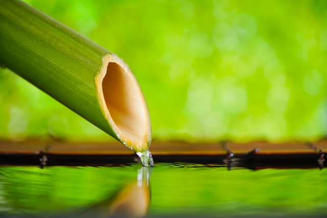 南青山アンティーク通りクリニック院長のブログ獅子落とし画像